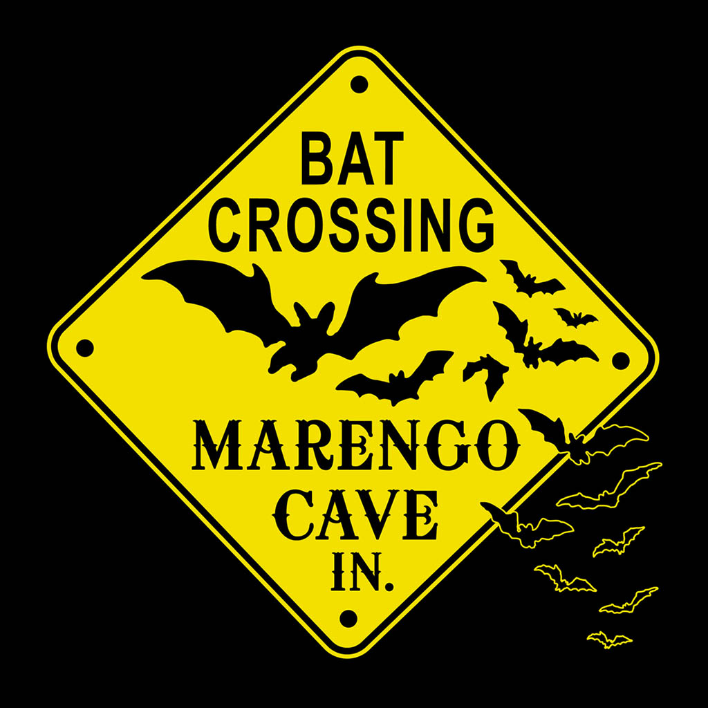 Bat Crossing T-Shirt Design D01038MARENG
