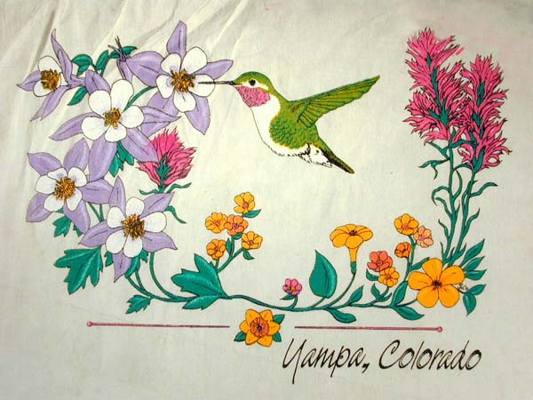 Hummingbirds And Flowers With Name Drop T-Shirt Design