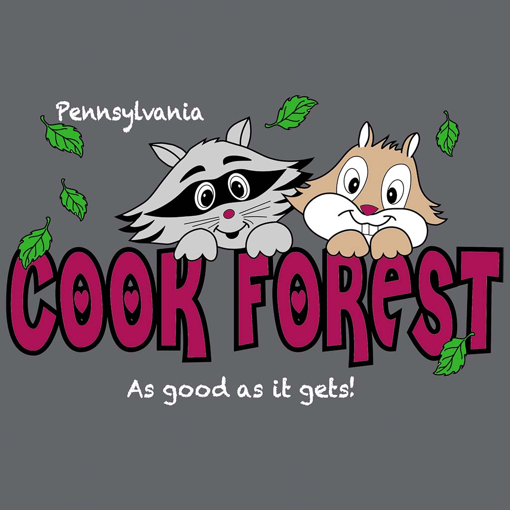 Raccoon/Chipmunk w/ Cook Forest, PA As Good As It Gets D02351NDPAFR