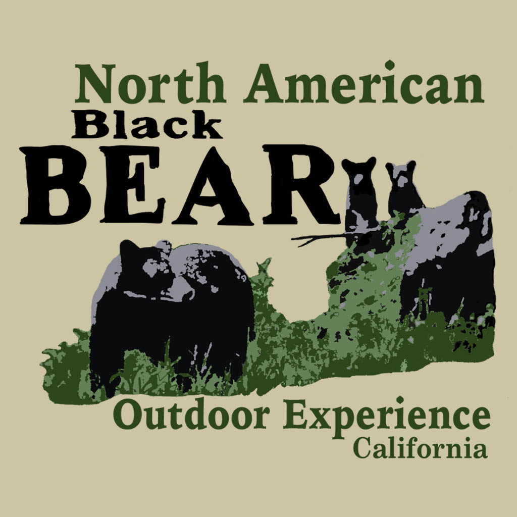 North American Black Bear
