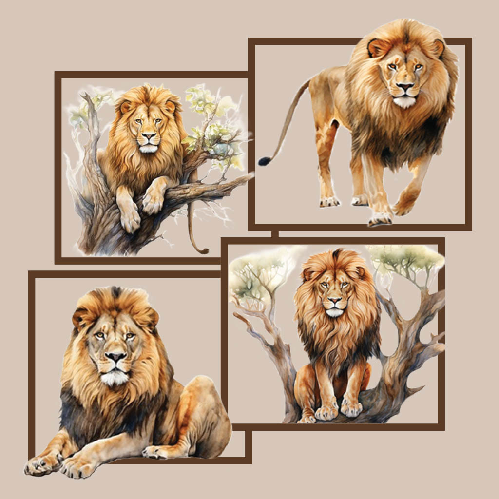 Boxed Lion T-Shirt Design D04530BXLION