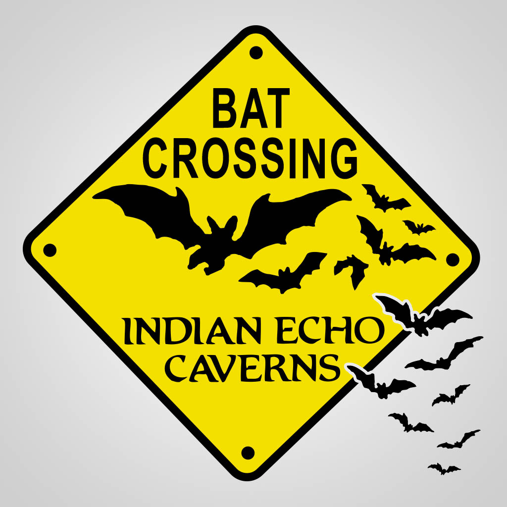 Echo Caverns Bat Xing GMC Design GMC01026