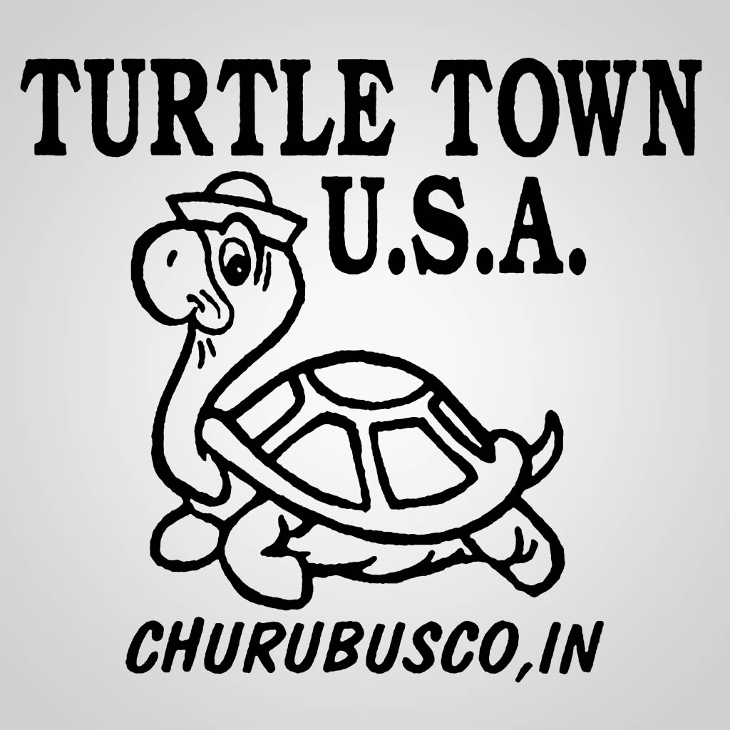 Turtle Town GPC Design
