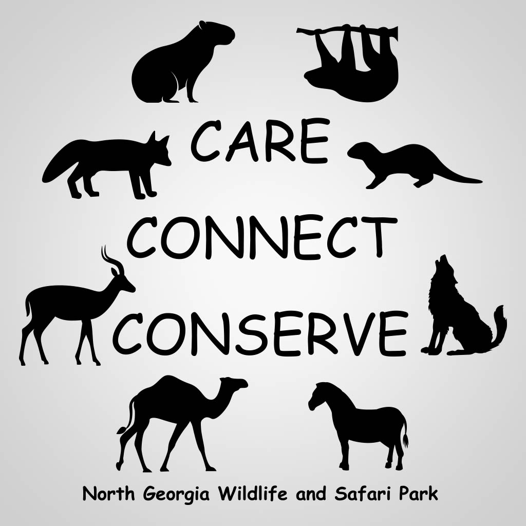 Care Connect Conserve GPC Design GPC16476