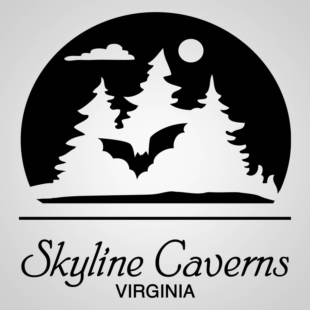 Bat In Arch GPX Design GPX01518