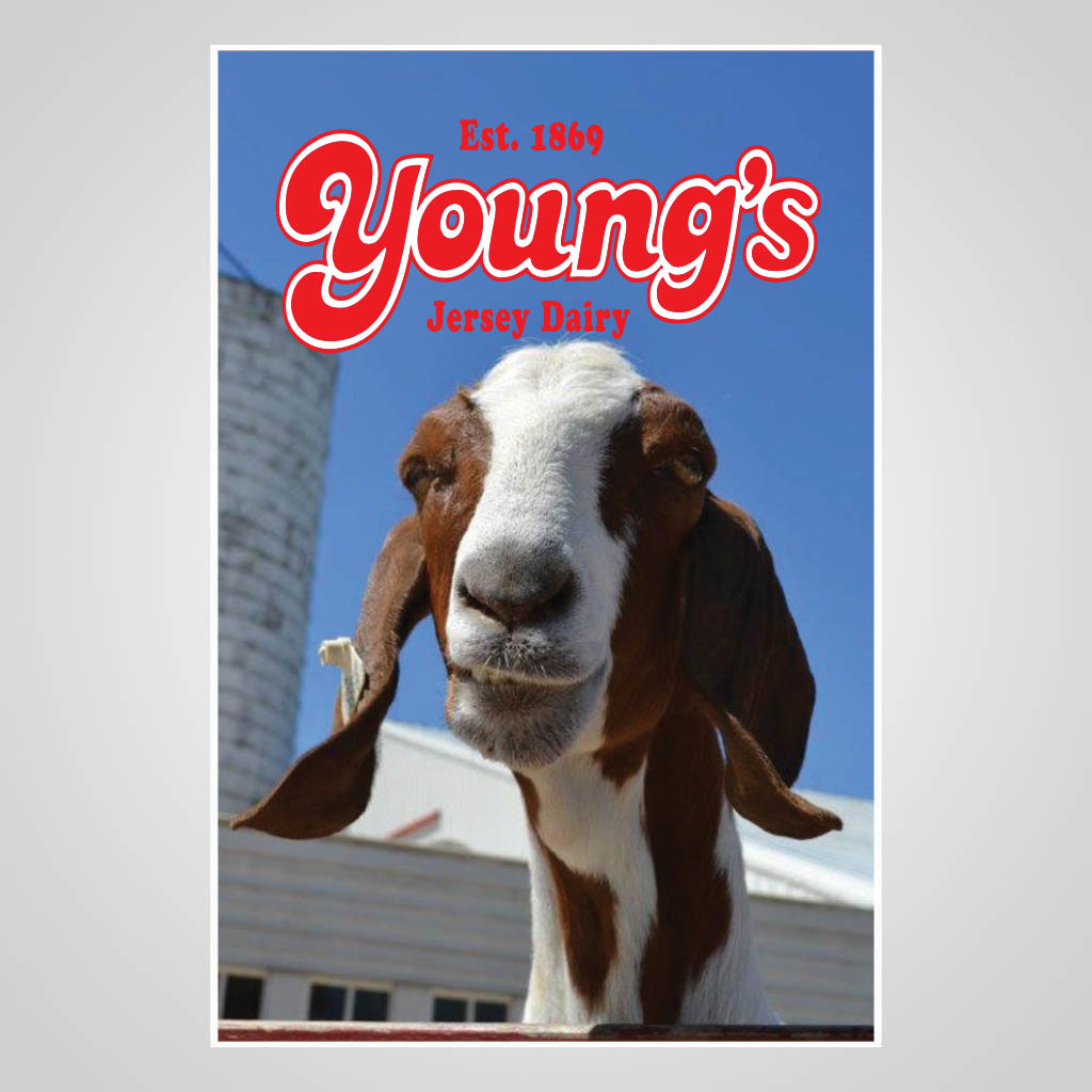 Young's Jersey Dairy JMC Design JMC00034
