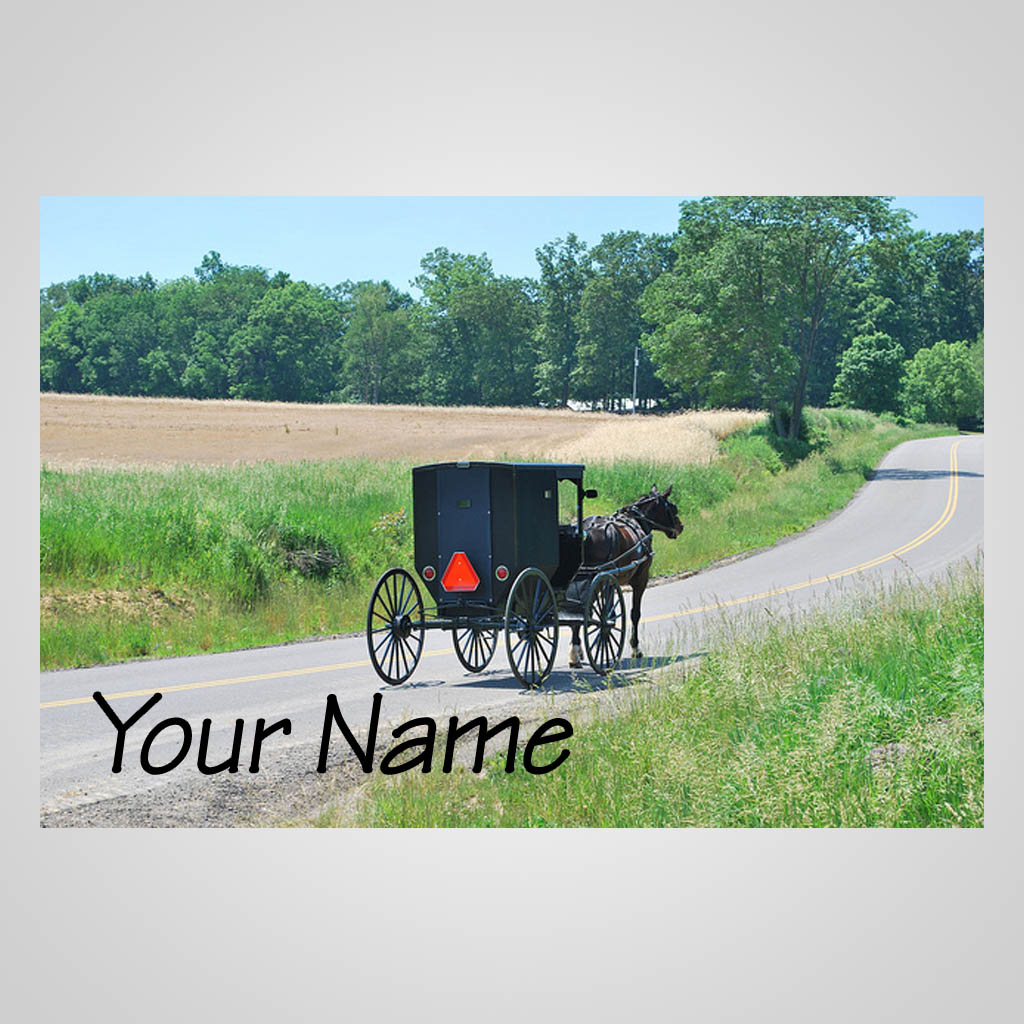 Amish Buggy JPM Design JMS00048