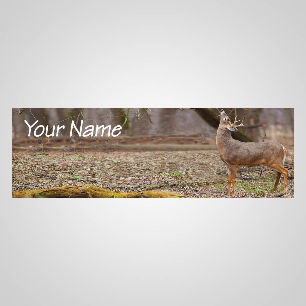 Buck Deer JPM Design JMS00067