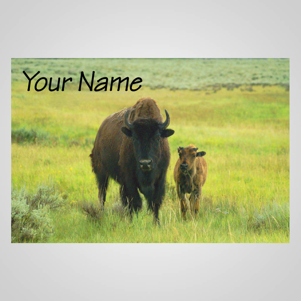 Buffalo With Calf JMS Design JMS00111