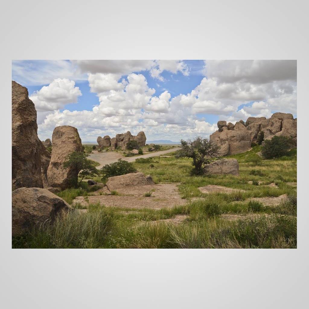 Rocky Wilderness JPM Design JMS00164