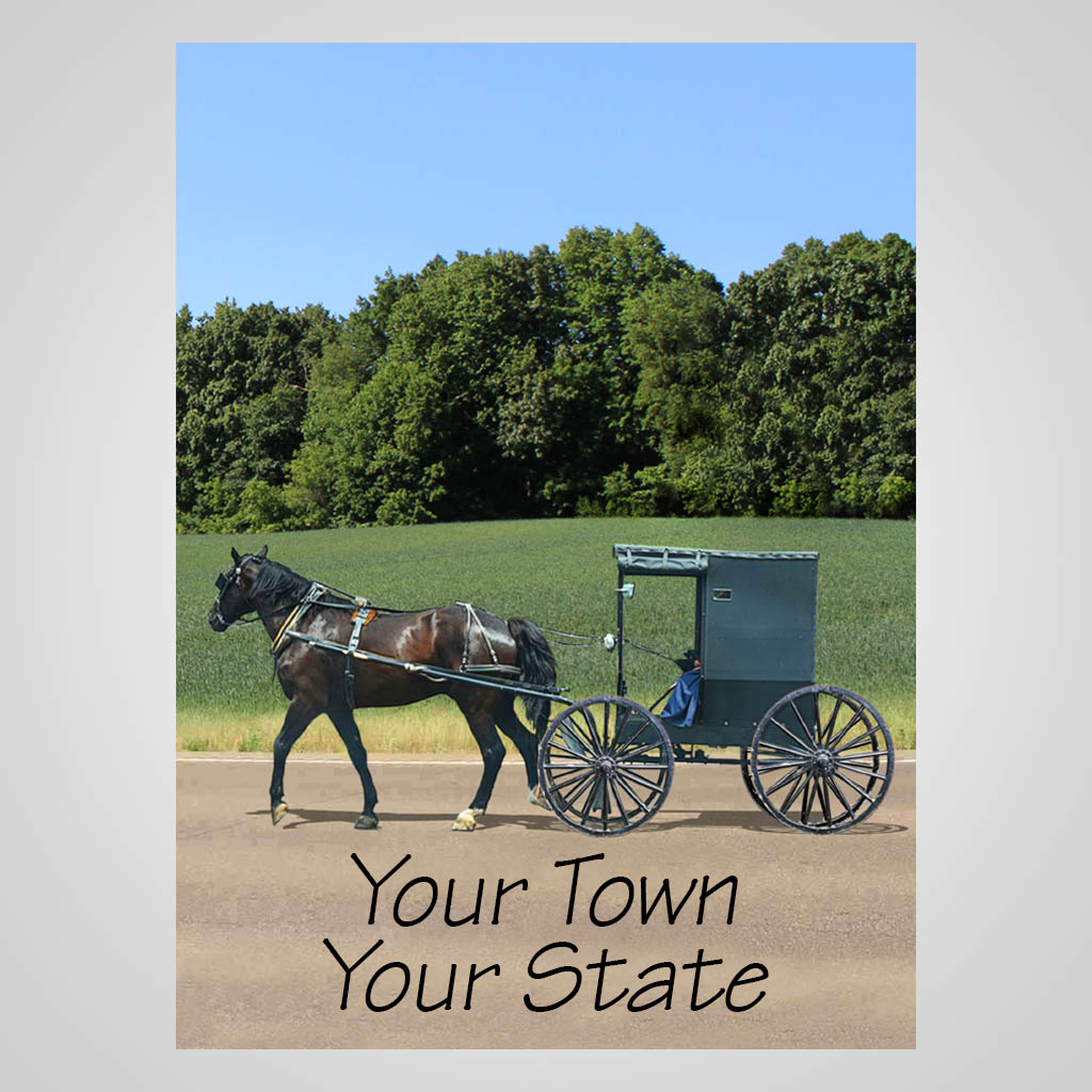 Amish Horse and Buggy With Trees JMS Design JMS00457