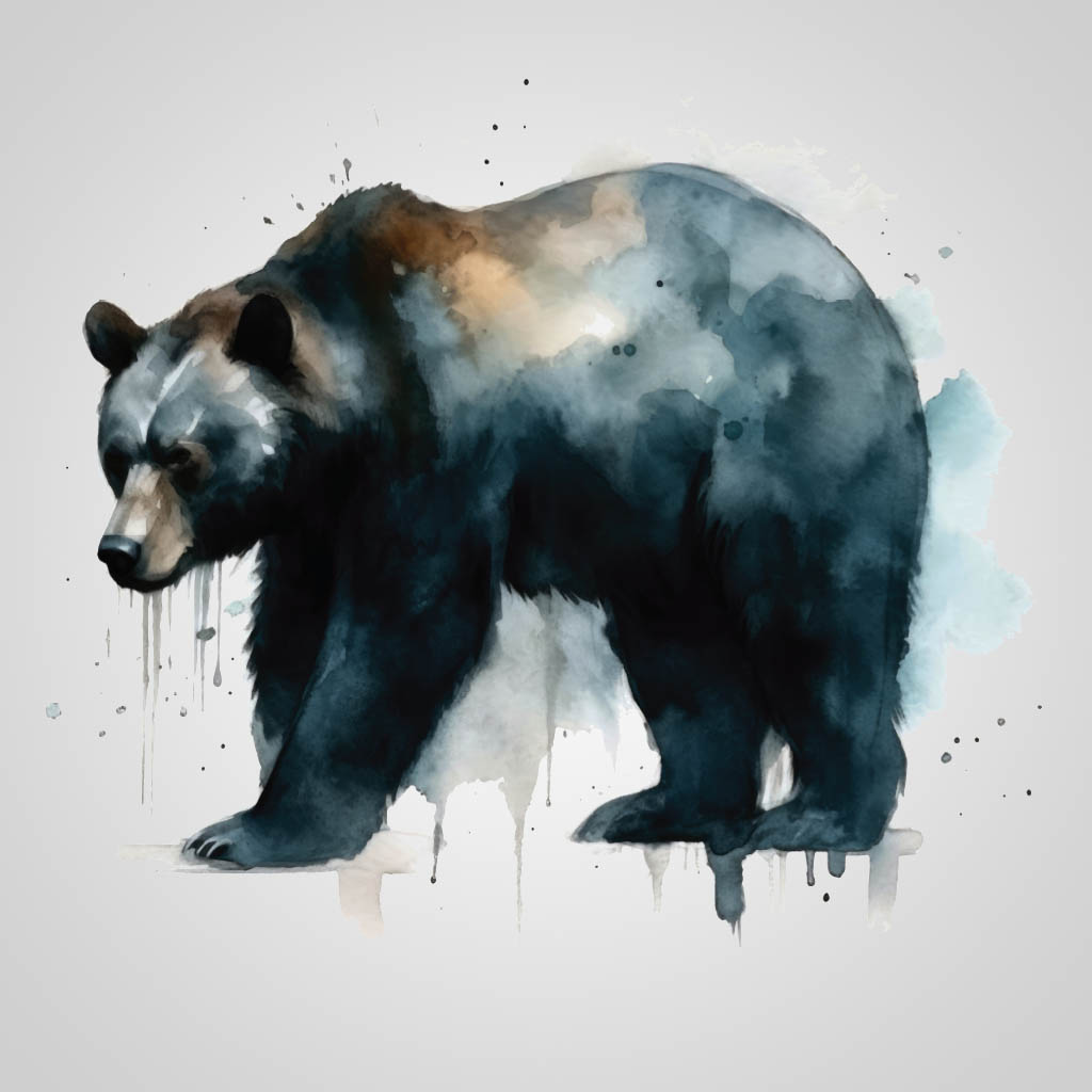 Bear Image JMS Design