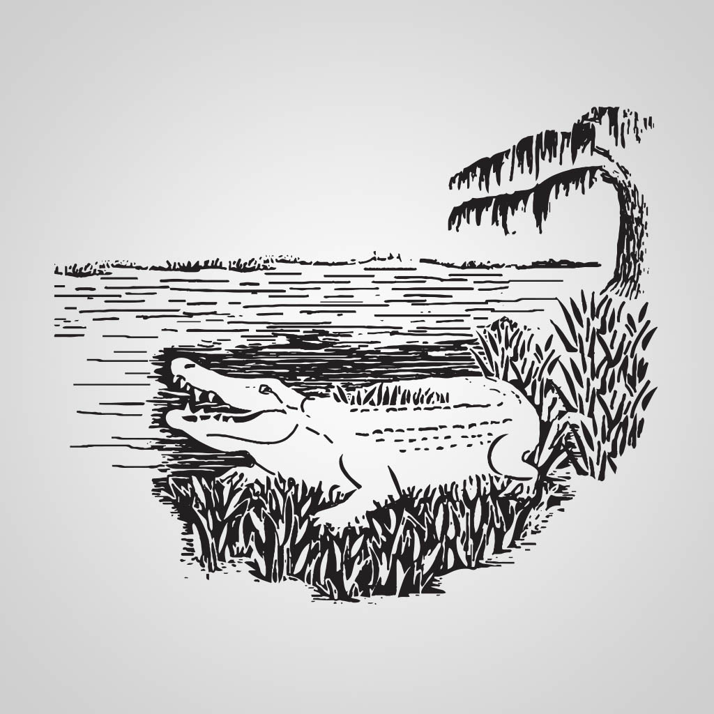 Alligator JPS Design JPS00127