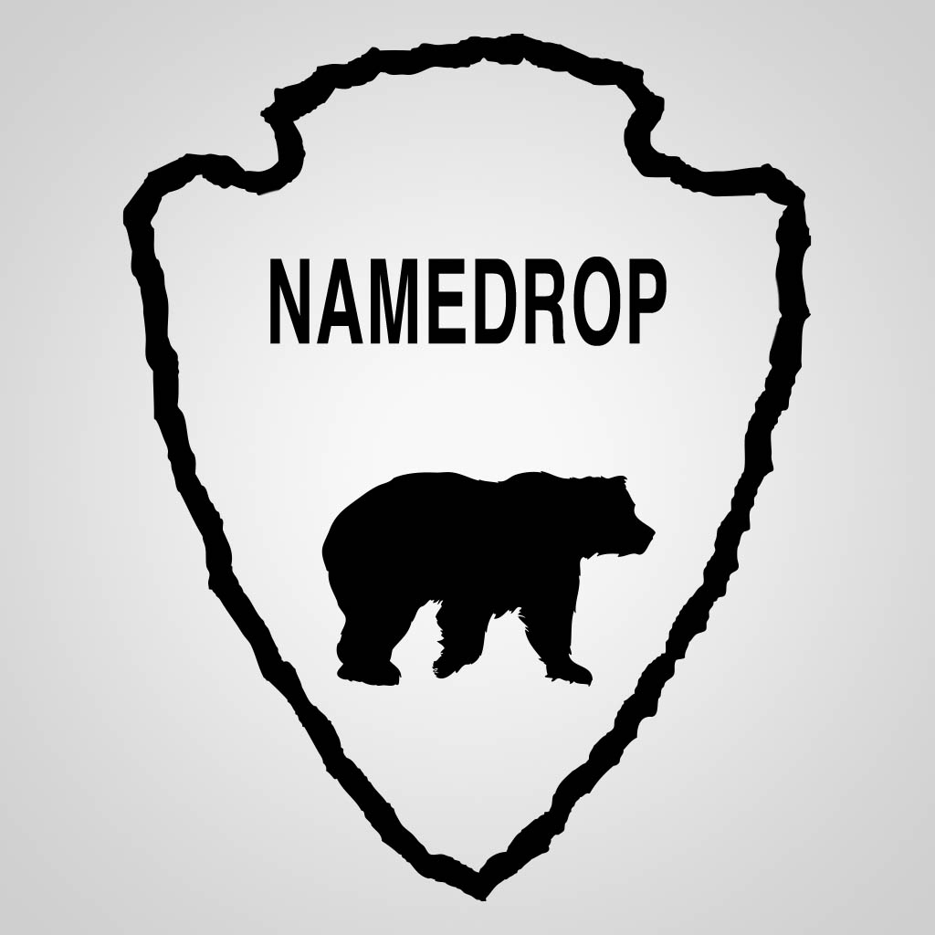 Bear Inside Arrowhead JPS Design JPS00188