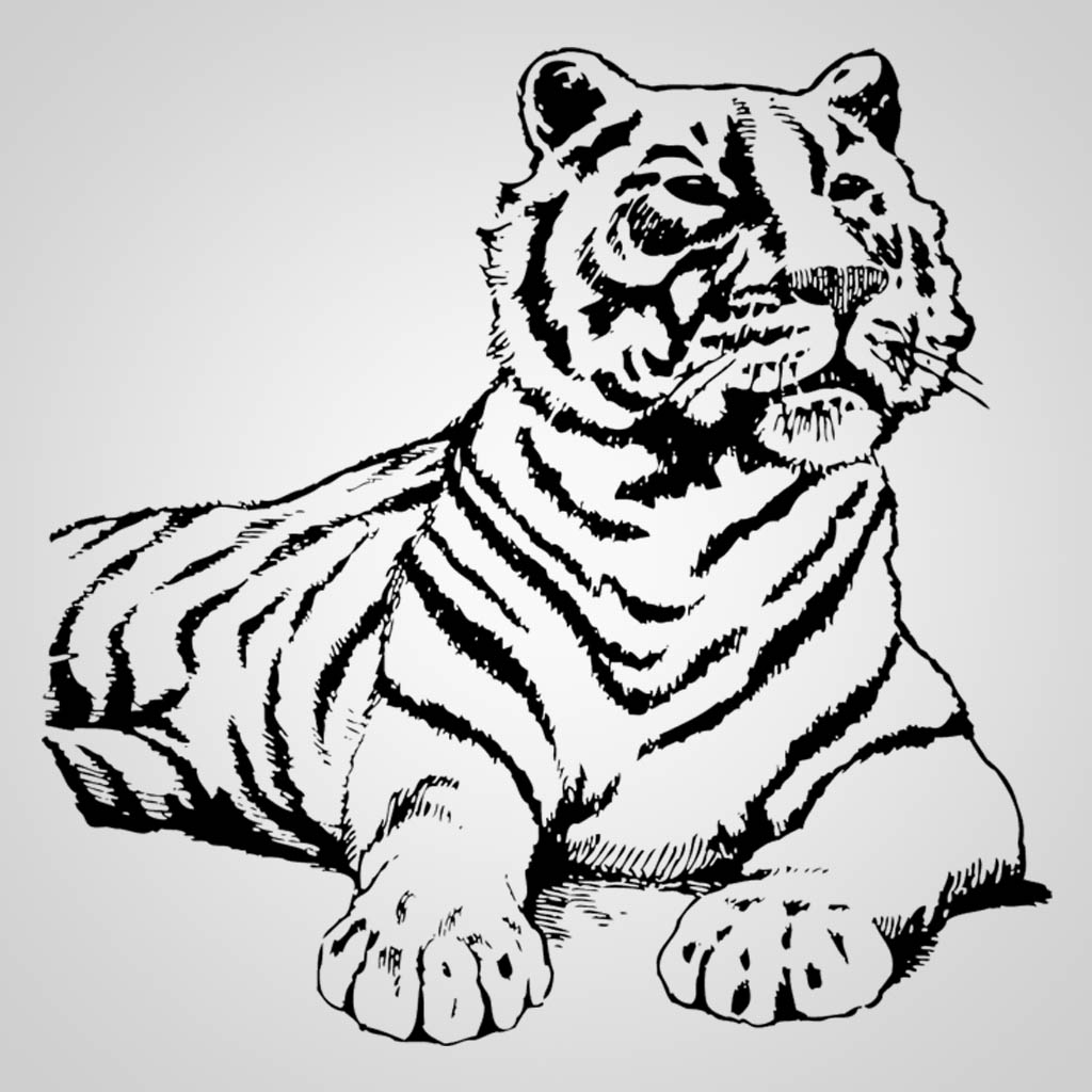 Tiger With Name-Drop JPS Design JPS00231