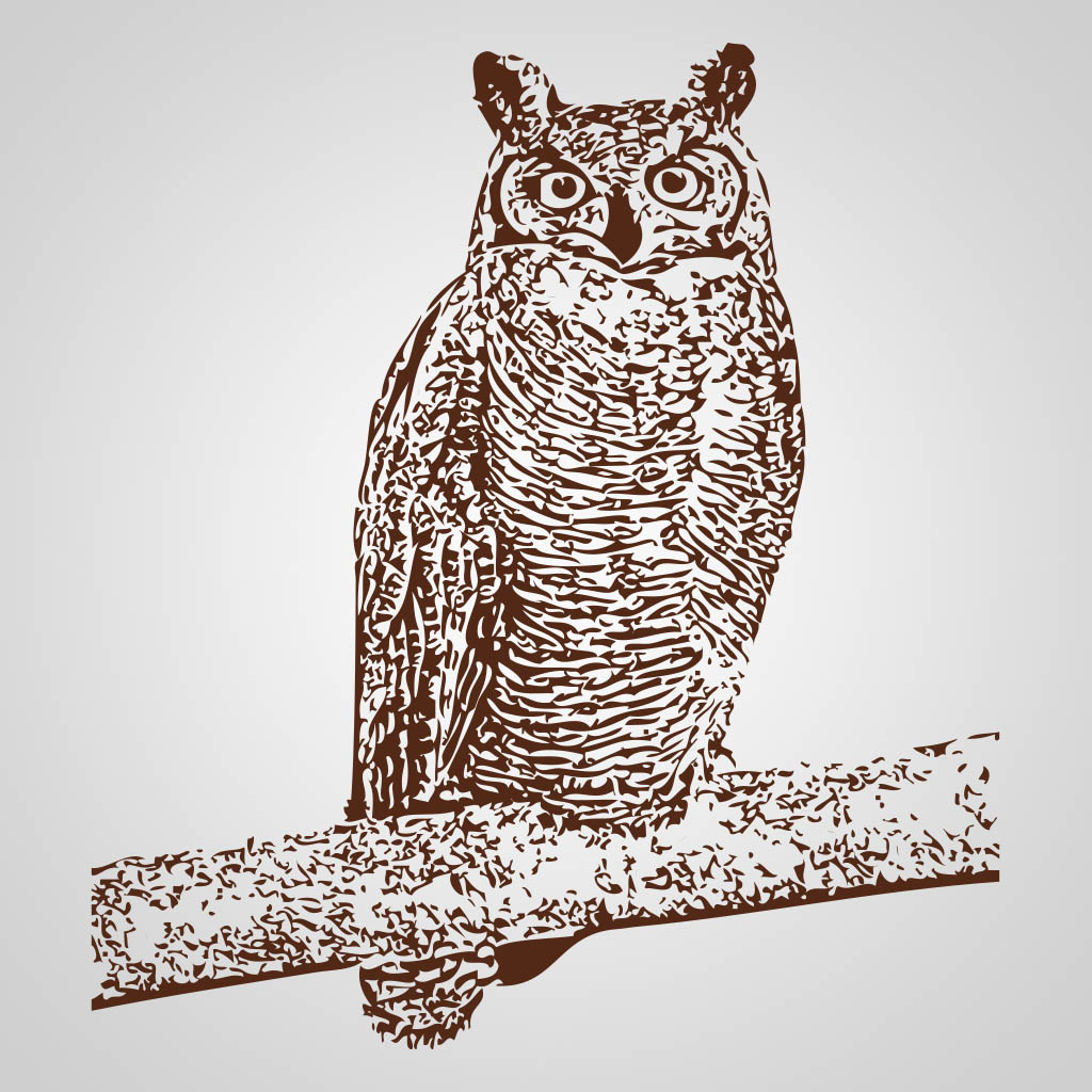 Owl On Branch JPS Design JPS00248