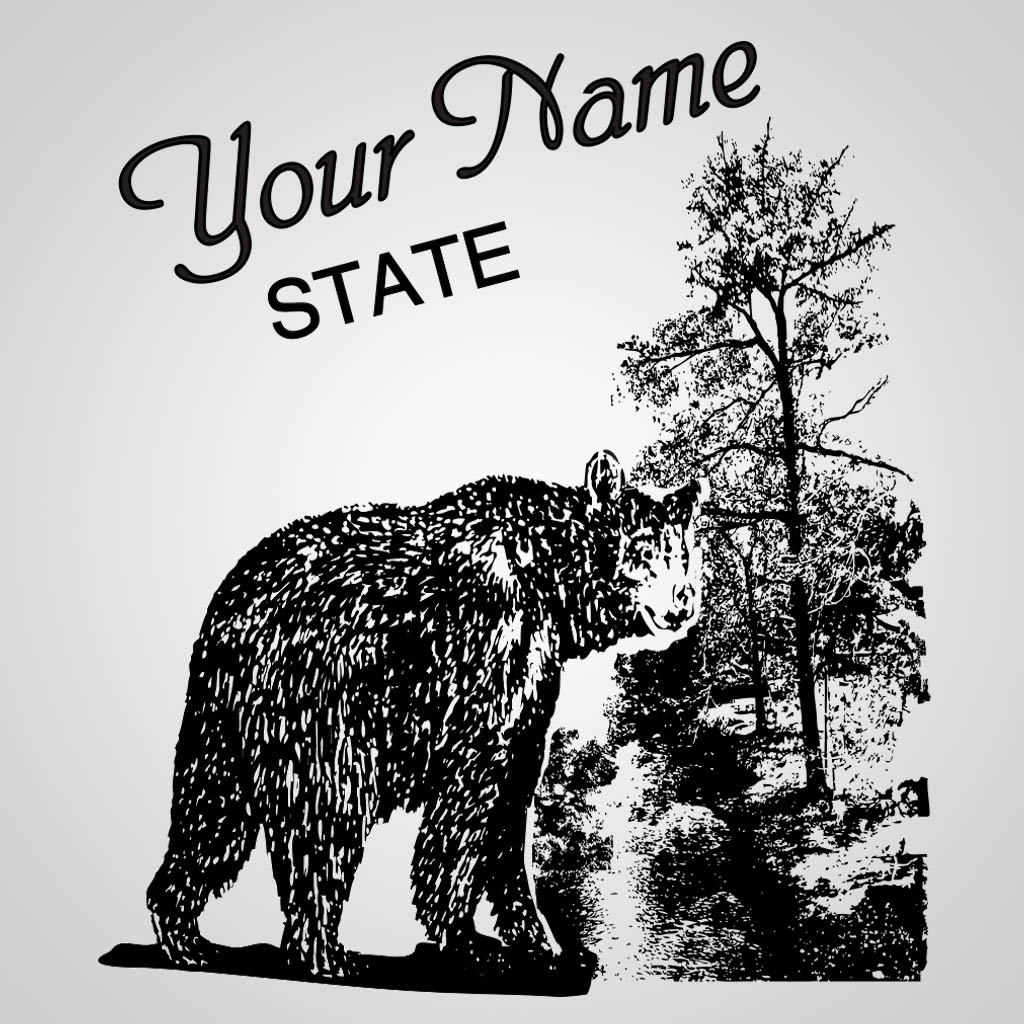 Black Bear In Woods JPS Design