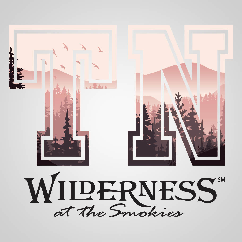 Big TN Wilderness At The Smokies UMC Design