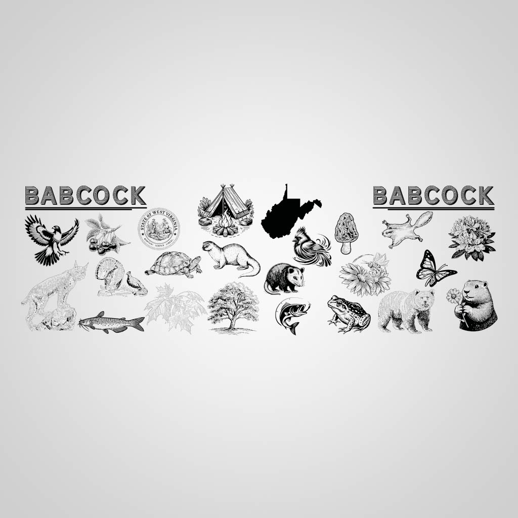 Animals Babcock UMC Design