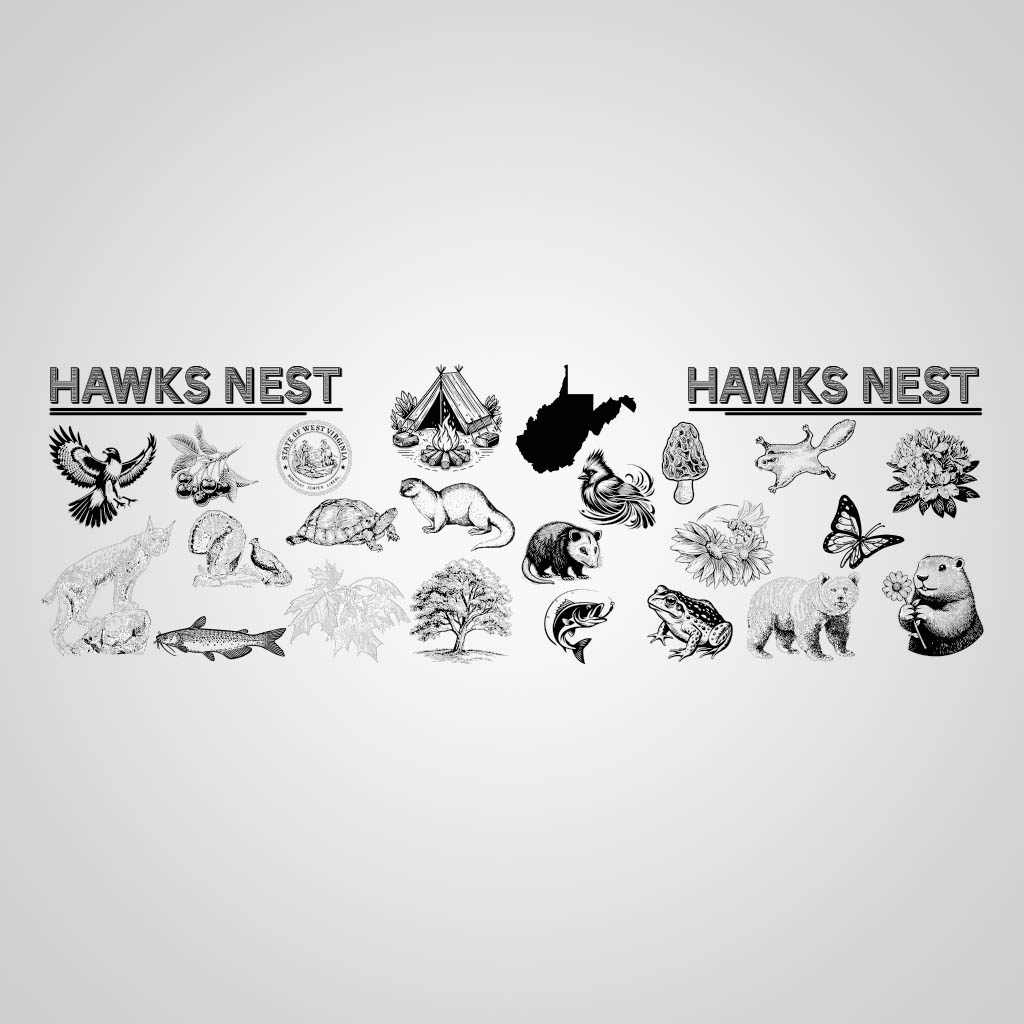 Animals Hawks Nest UMC Design