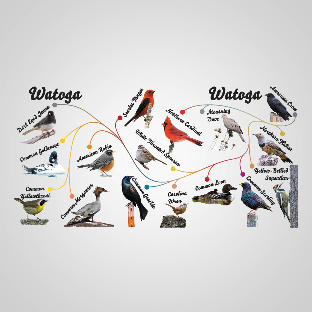 Birds Watoga UMC Design UMC01144