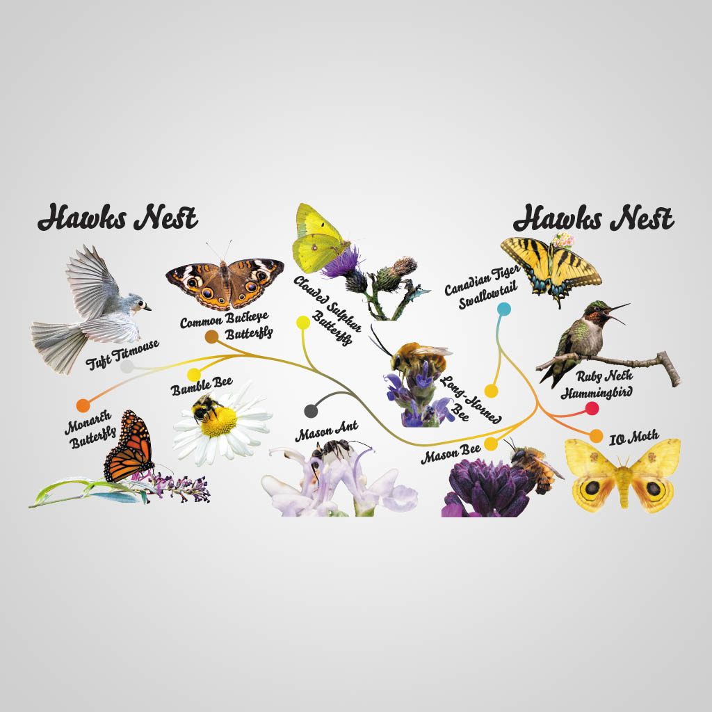 Pollinators Hawks Nest UMC Design