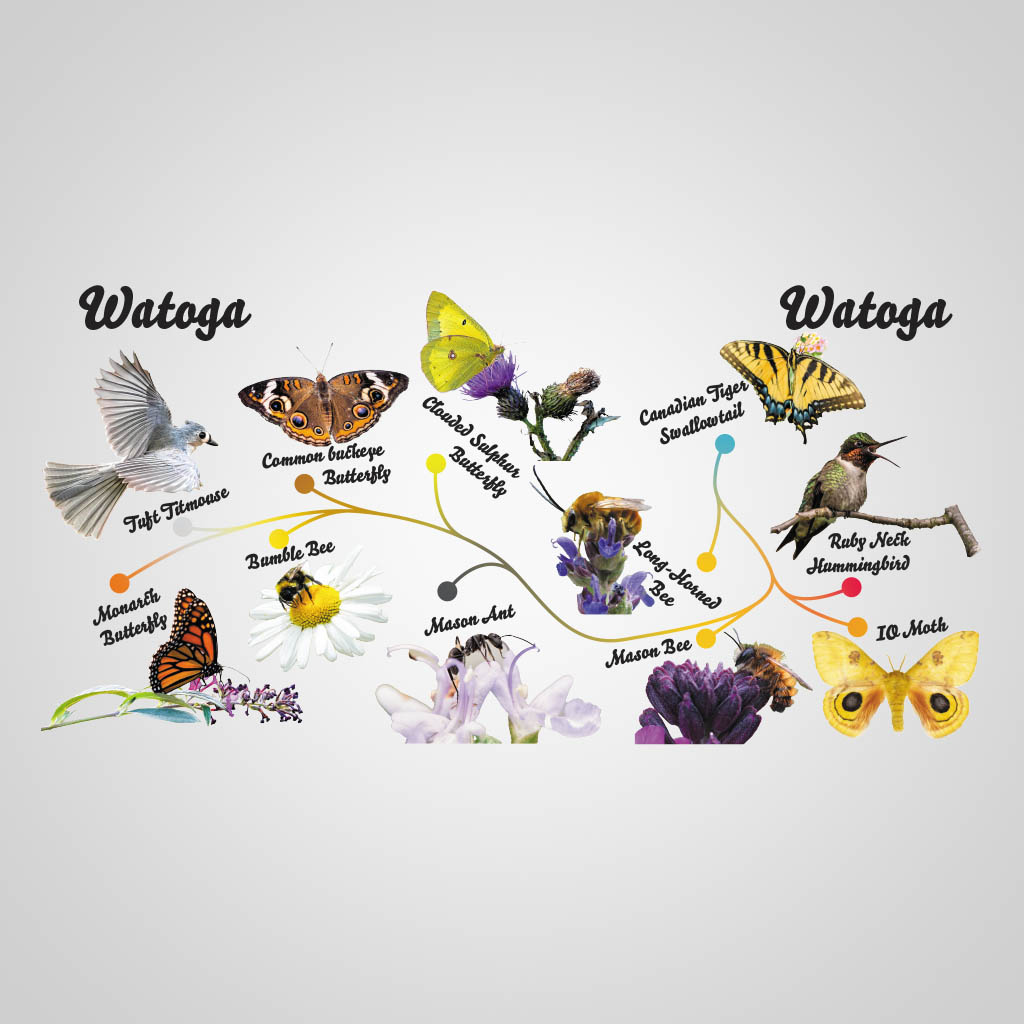 Pollinators Watoga UMC Design