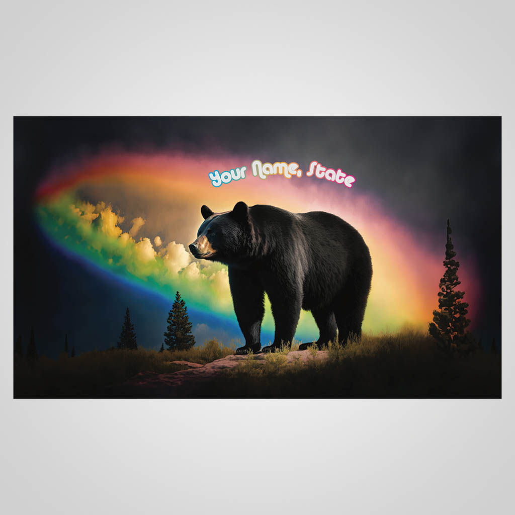 Rainbow Bear UMS Design