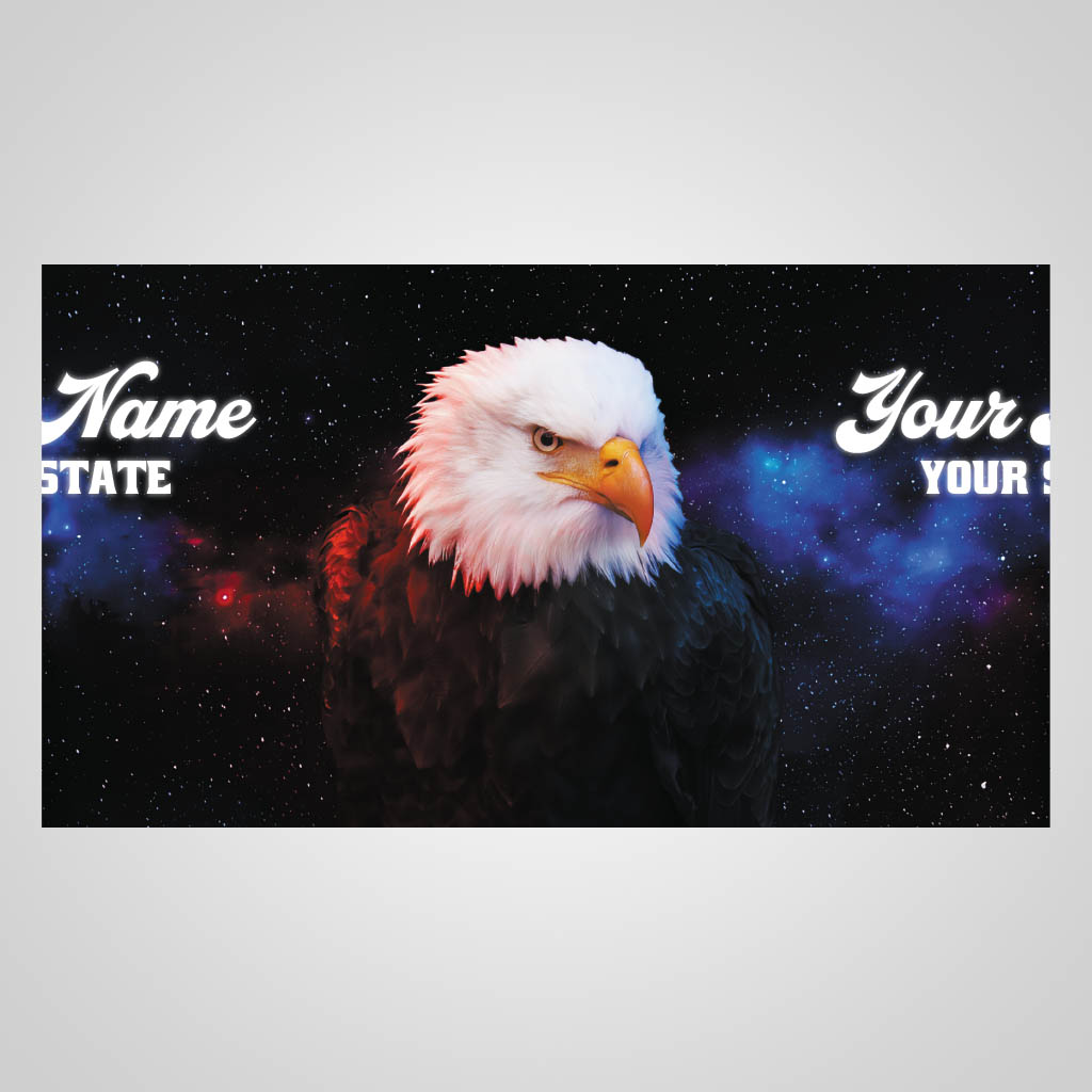 Eagle Wrapped In Red White And Blue UMS Design UMS01168