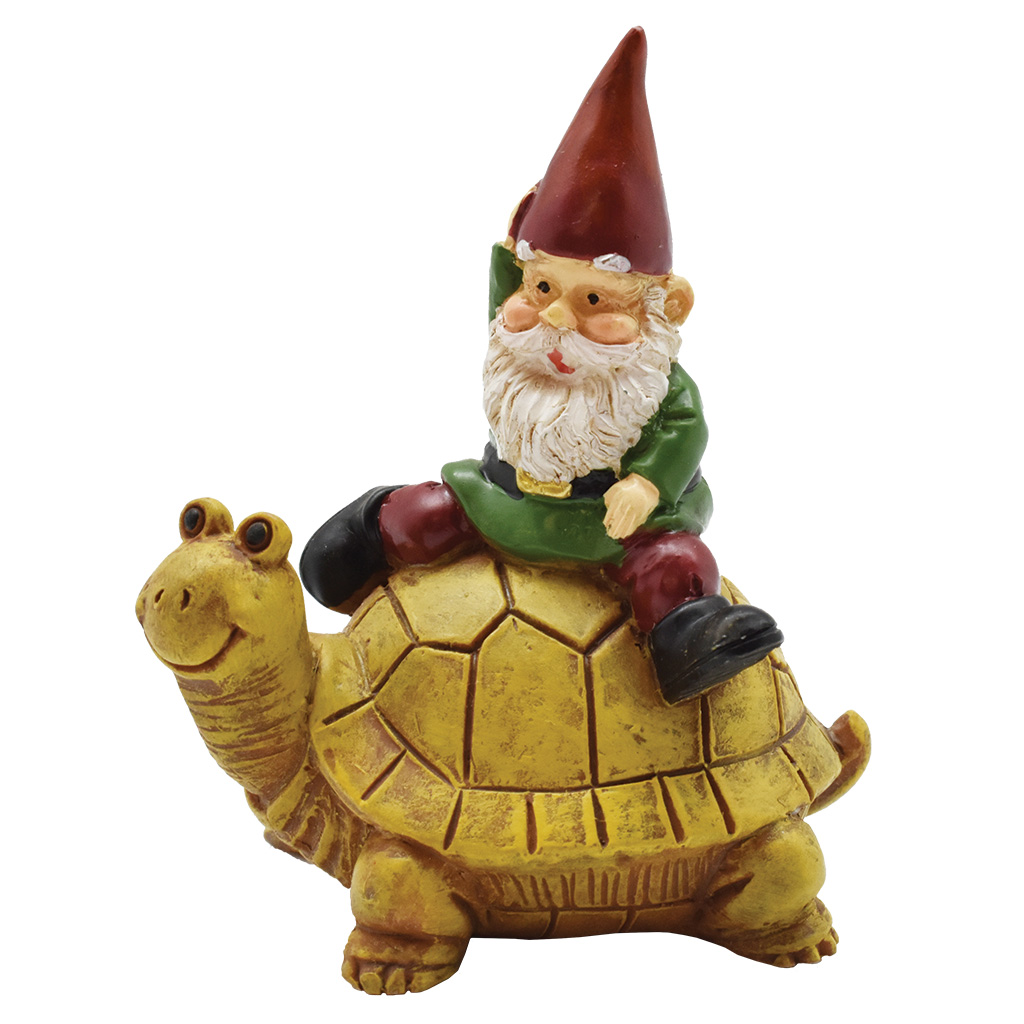 Small Gnome Riding A Turtle 19592