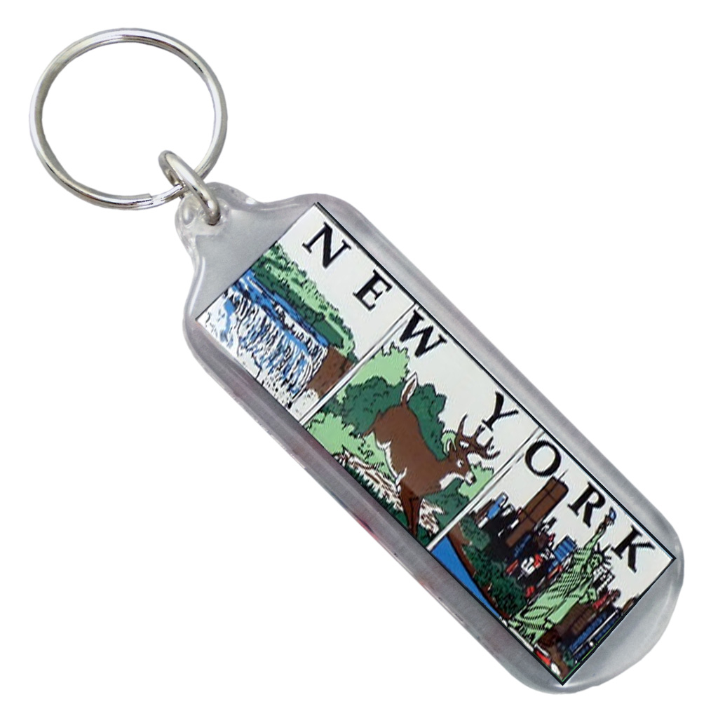 Rectangular Lucite Keychain, New York 20470NY