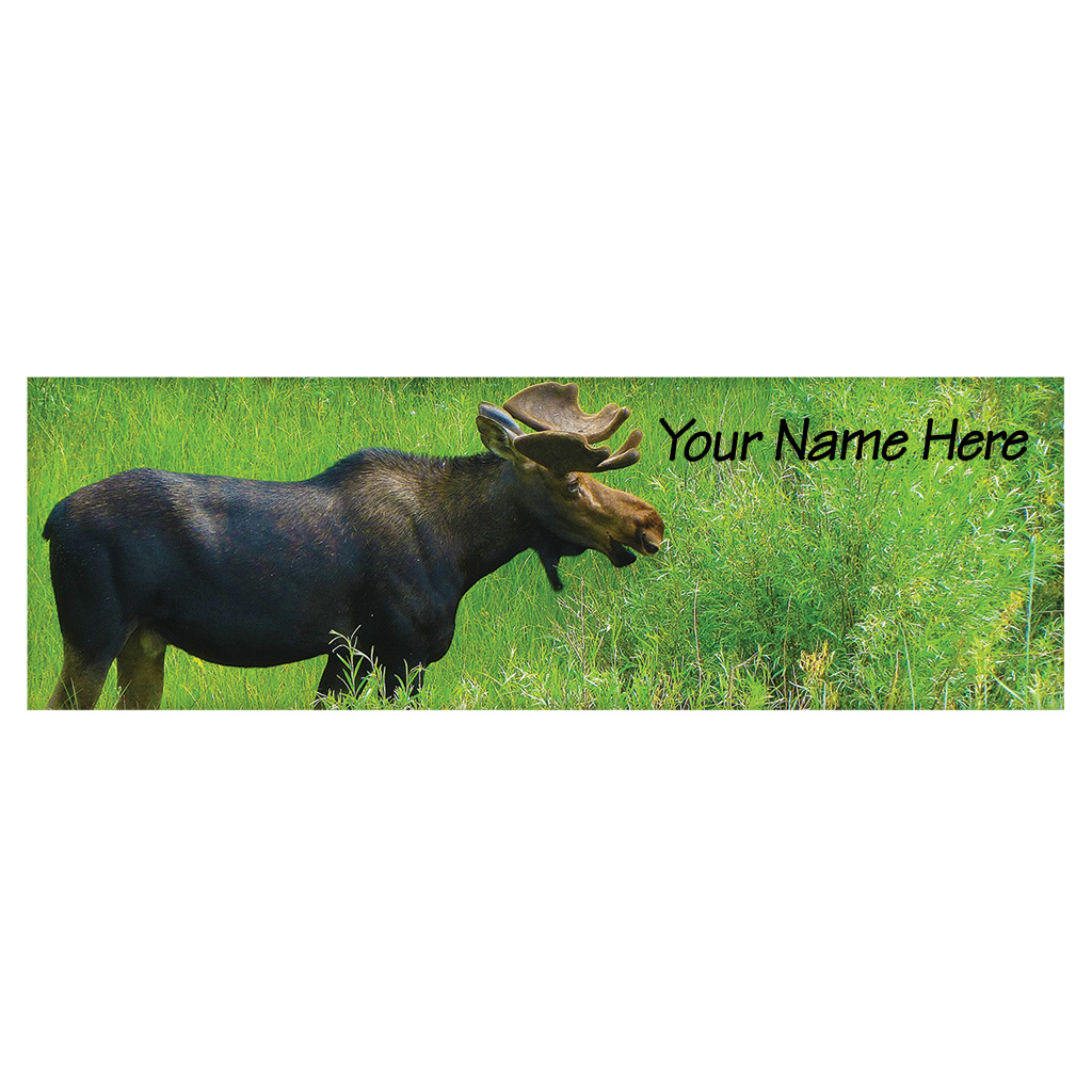 Long Rectangular Magnet, Moose, Name Drop 40267MOO