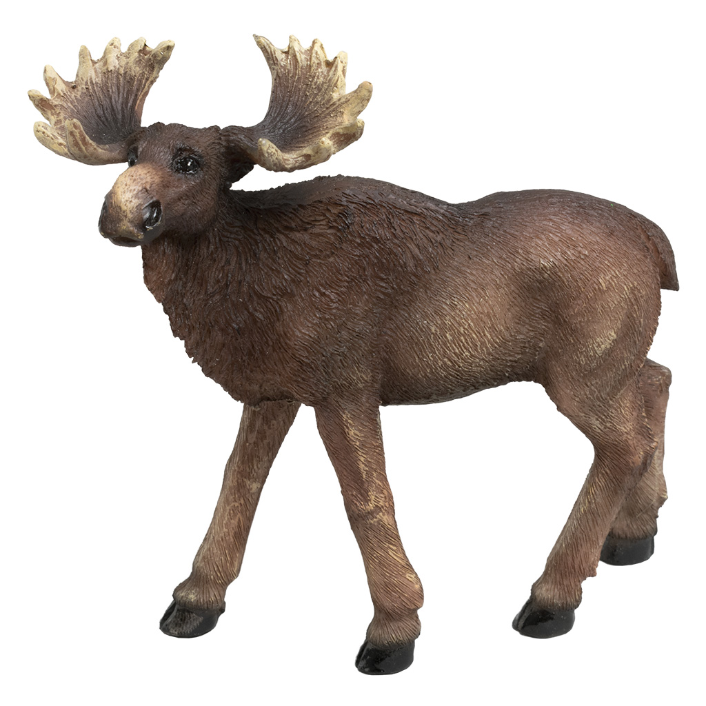 Standing Moose 63357