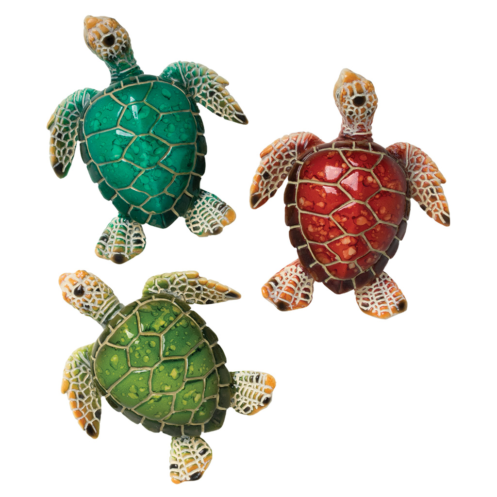 Colorful Turtle Magnet 63516